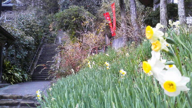 c0247314_1532610.jpg