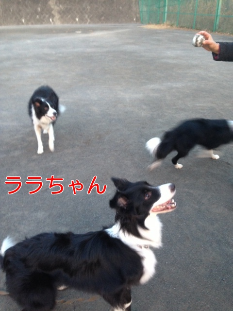 a0232619_14535583.jpg