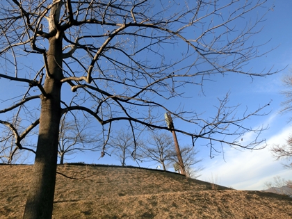 a0105023_8365246.jpg