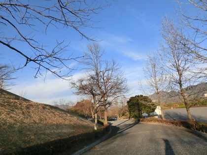 a0105023_8371660.jpg