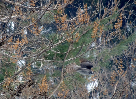 f0118332_23401099.jpg