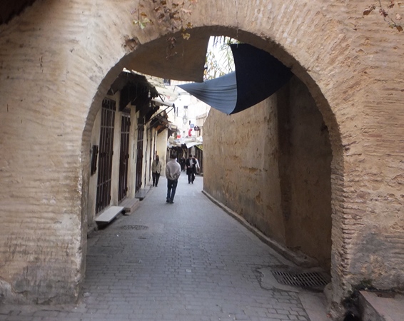 c0051938_944559.jpg