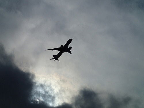 f0094843_150896.jpg