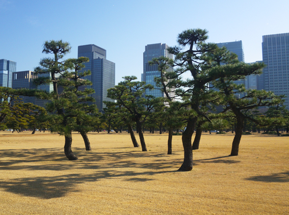 f0161647_20151460.jpg