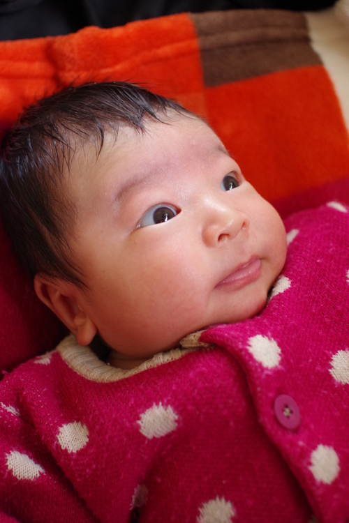 a0299749_1726368.jpg