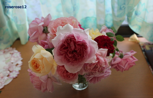a0249051_651950.jpg