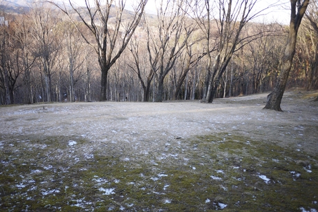 c0283778_1611328.jpg