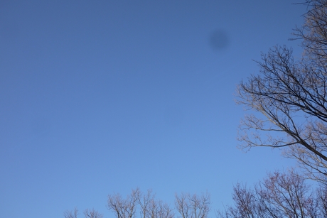 c0283778_16122376.jpg