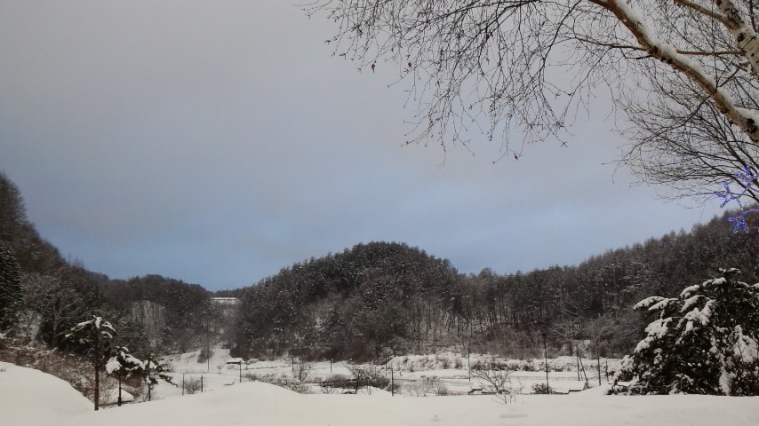 a0130586_17363114.jpg