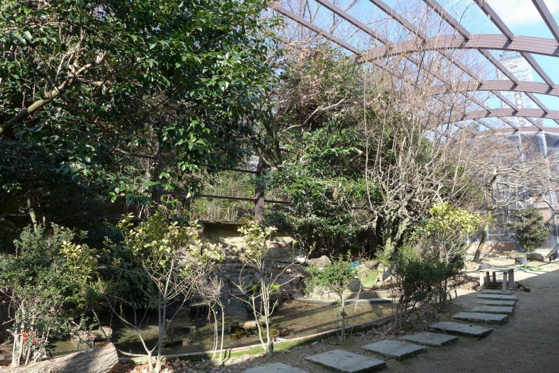 a0127090_23215760.jpg
