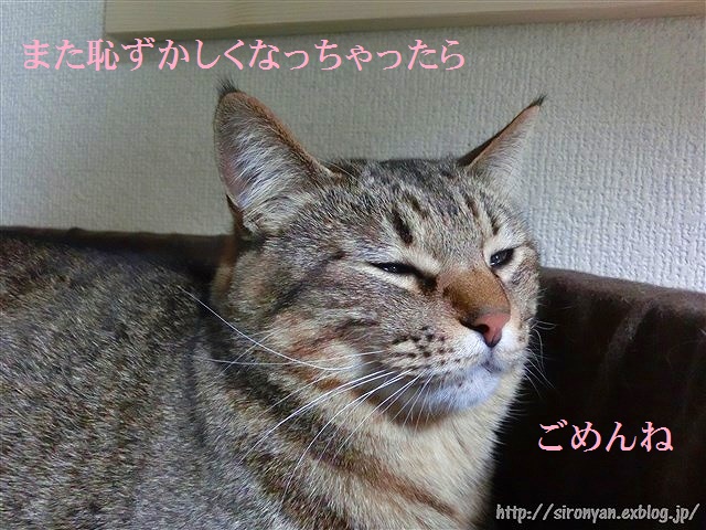 a0159490_1534598.jpg
