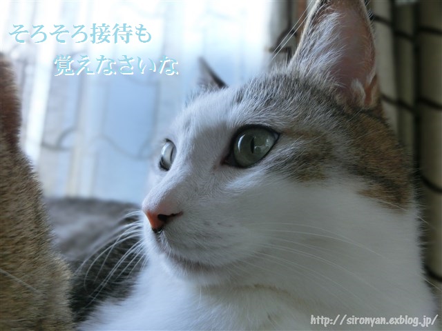 a0159490_1535122.jpg