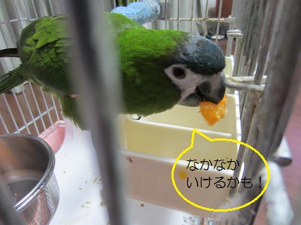 f0234590_8101793.jpg