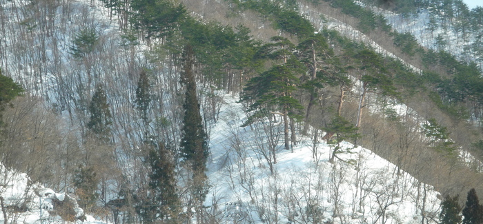 a0214206_1347728.jpg