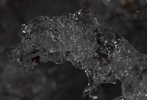 a0251508_21101710.jpg