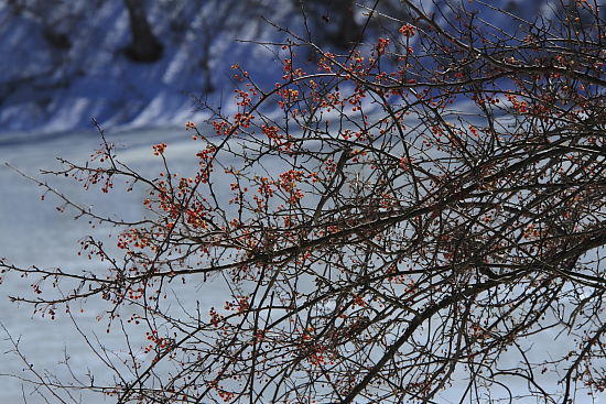 a0251508_21171175.jpg