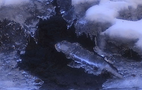 a0251508_2192866.jpg