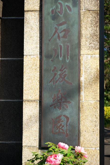 a0263109_11164496.jpg