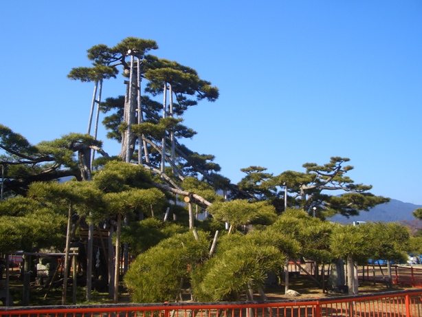 e0033713_16091036.jpg