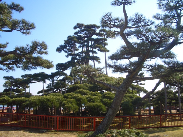 e0033713_16324979.jpg