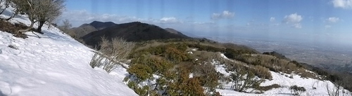 d0170615_20365637.jpg