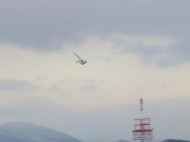f0248616_8584323.jpg