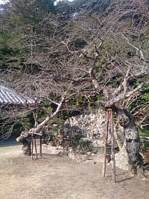 b0204719_1764968.jpg