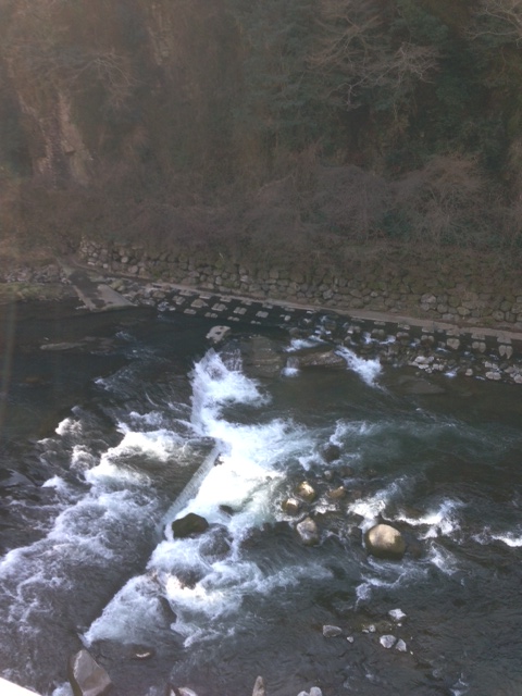e0050324_18361938.jpg