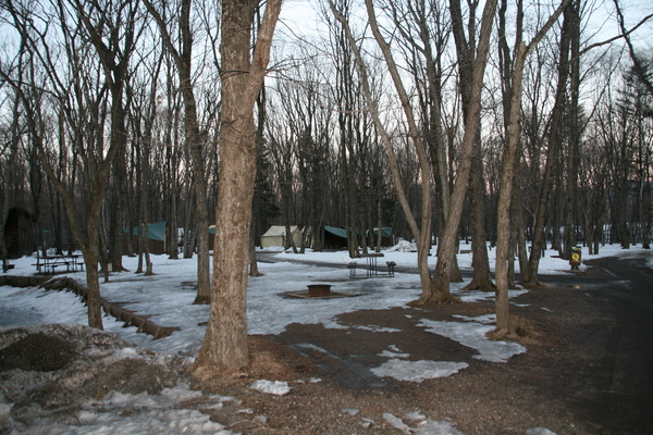 b0174425_19141386.jpg