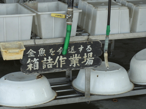 d0151227_2193315.gif