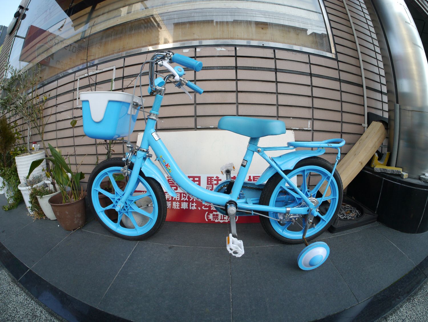 b0069128_11535265.jpg