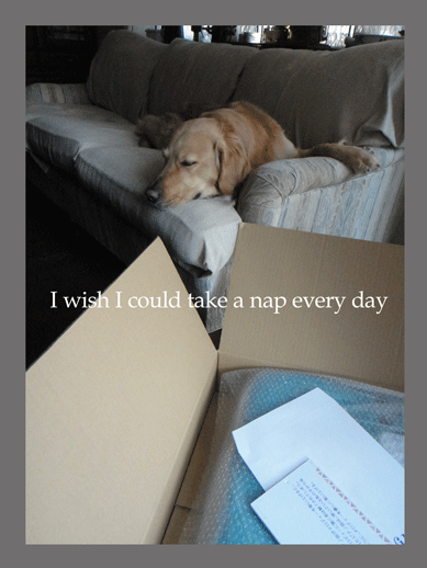 c0197829_15241131.gif