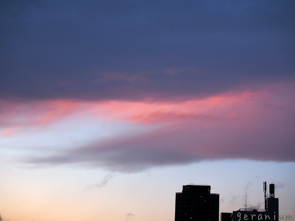 c0133533_02073984.jpg