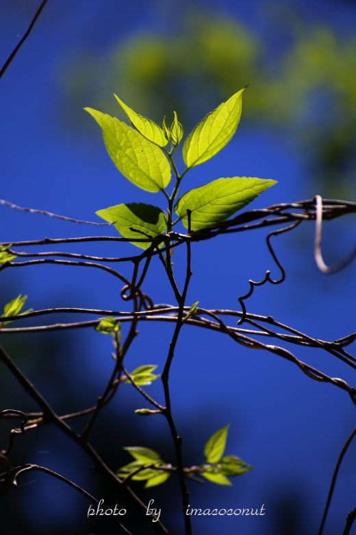 f0308134_20130061.jpg
