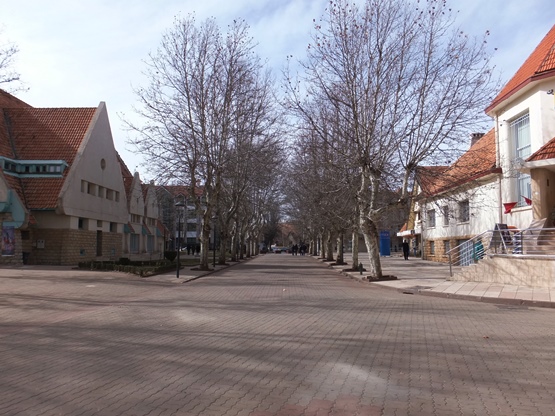 c0051938_8424258.jpg