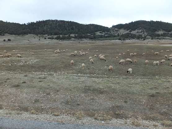 c0051938_8432424.jpg
