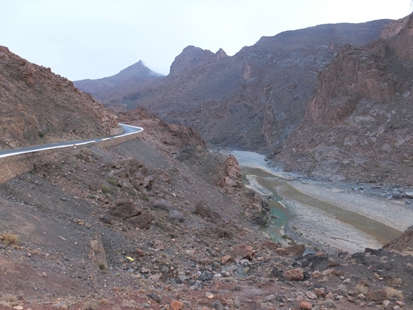 c0051938_8462643.jpg