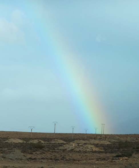 c0051938_84636.jpg