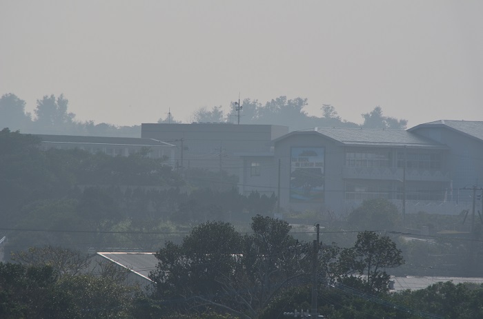 b0288942_143466.jpg