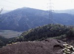 e0164643_2235384.jpg
