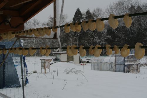 c0063348_20532187.jpg