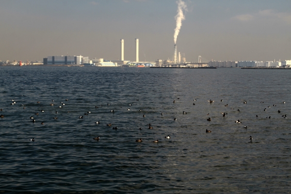 a0120949_6282979.jpg