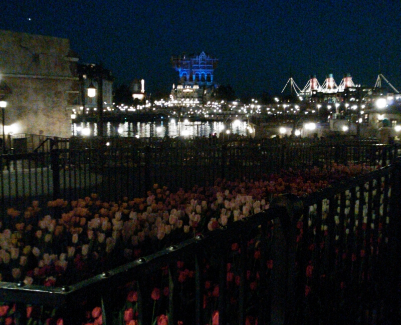 c0145750_1310832.jpg