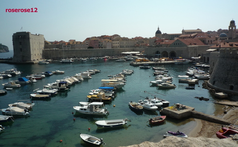 a0249051_06275.jpg