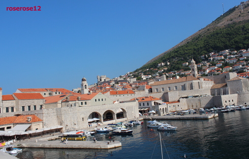 a0249051_07438.jpg
