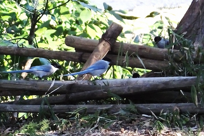 b0236251_13375545.jpg