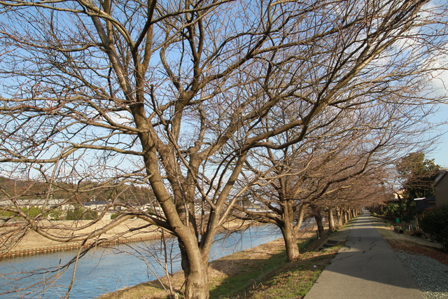 f0108553_20164766.jpg