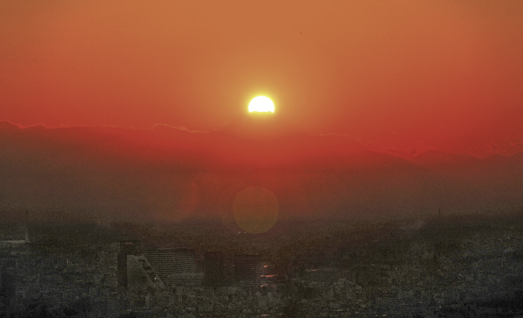 a0150260_057079.jpg