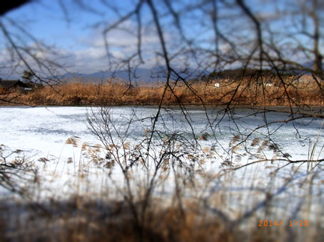 b0075364_22572381.jpg