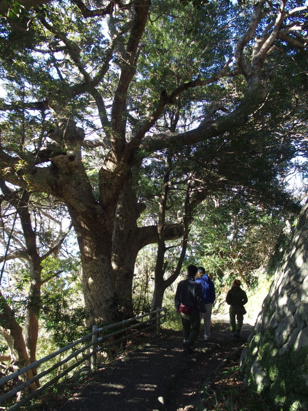c0122670_1151377.jpg